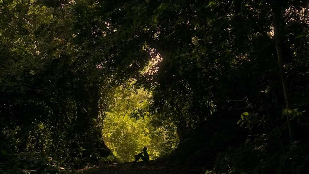 Backdrop – Hadithi za Kumekucha: Tunu