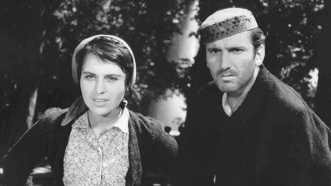 Backdrop – Vlak bez voznog reda