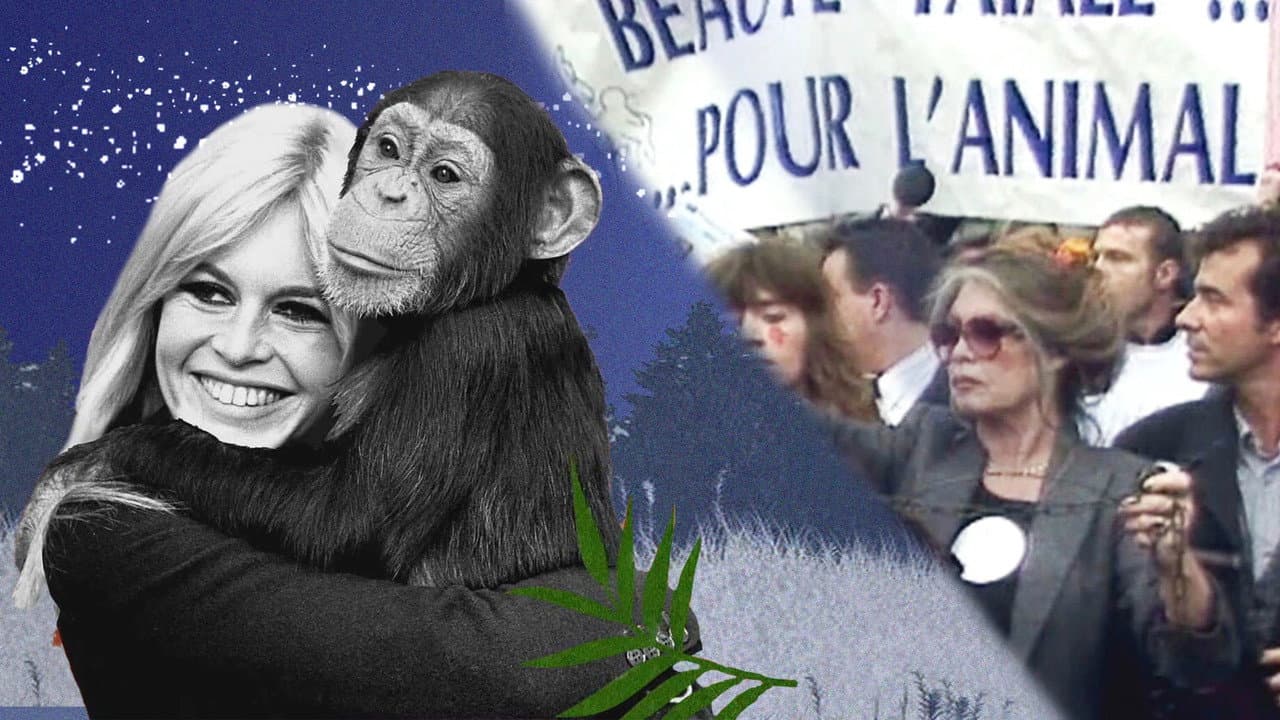 Backdrop – Brigitte Bardot, le serment fait aux animaux