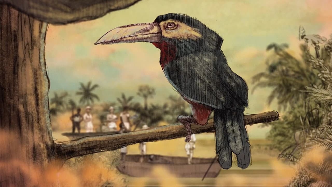 Backdrop – Un día vi 10 000 elefantes