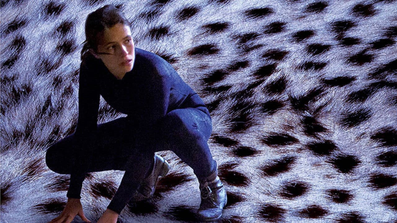 Backdrop – The Burglar