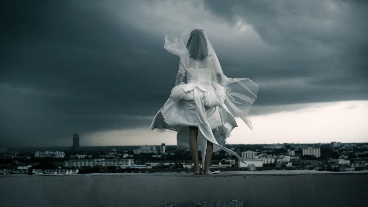 Backdrop – บอก-เล่า-9-ศพ