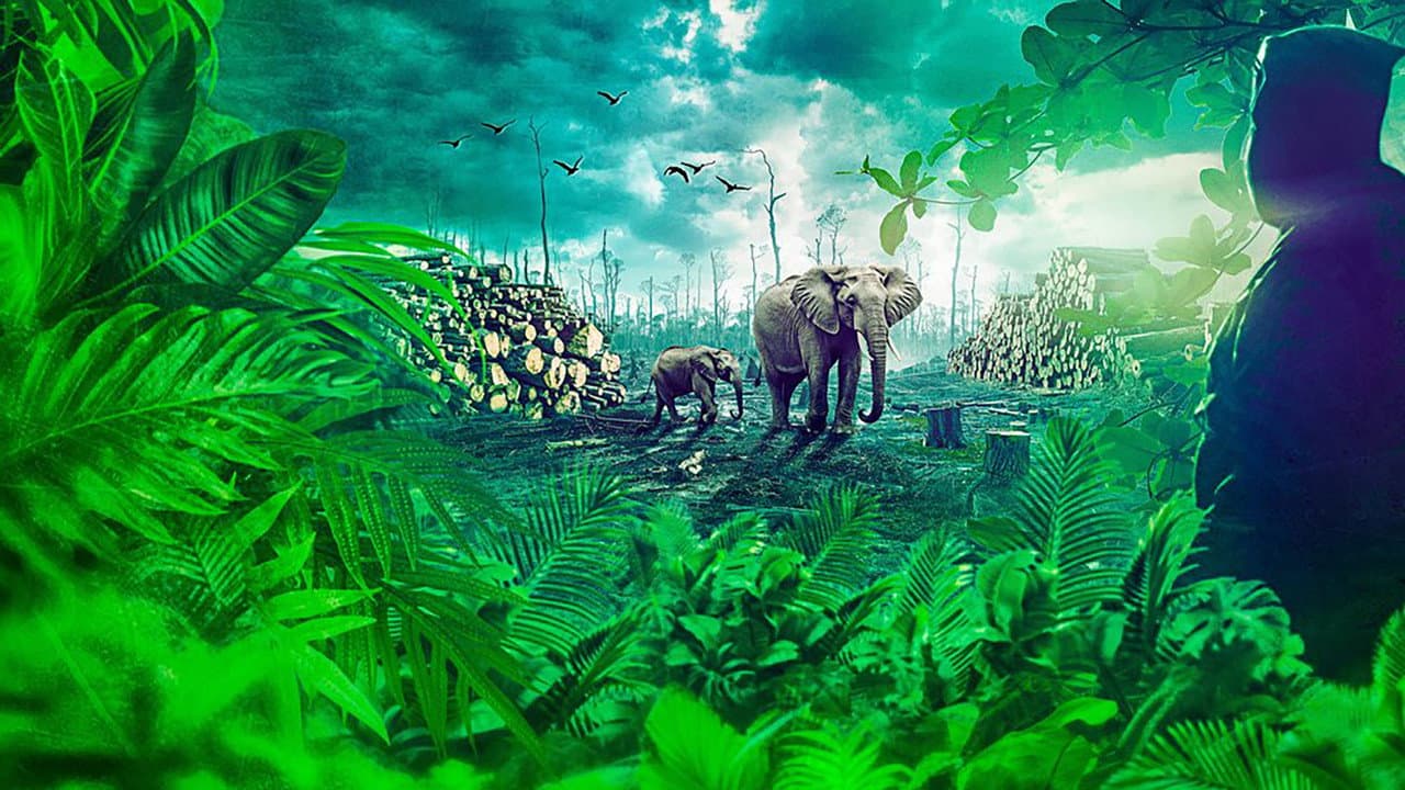 Backdrop – Gabon: Earth's Last Chance