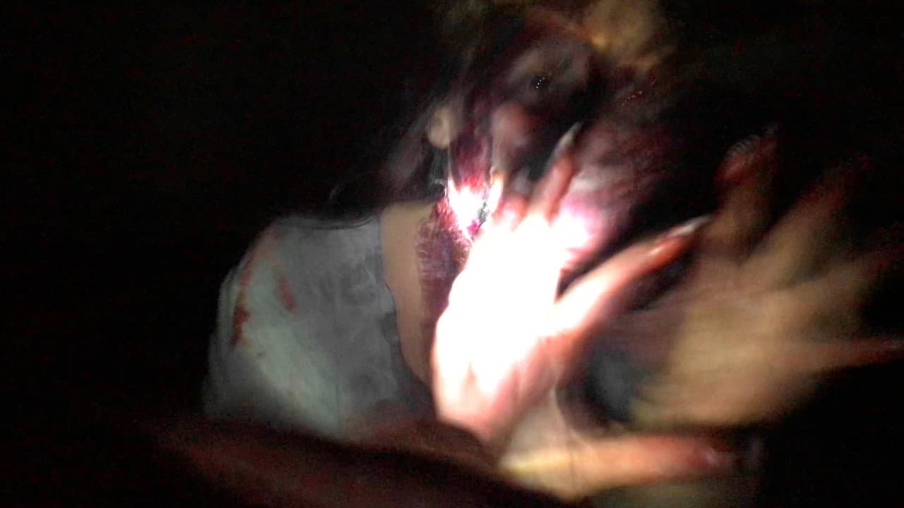 Backdrop – Chamado