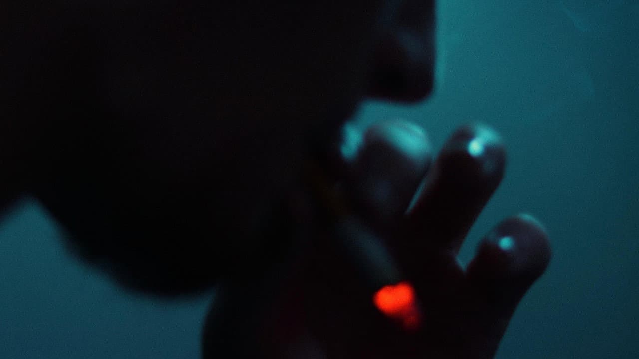 Backdrop – Pink Ladies