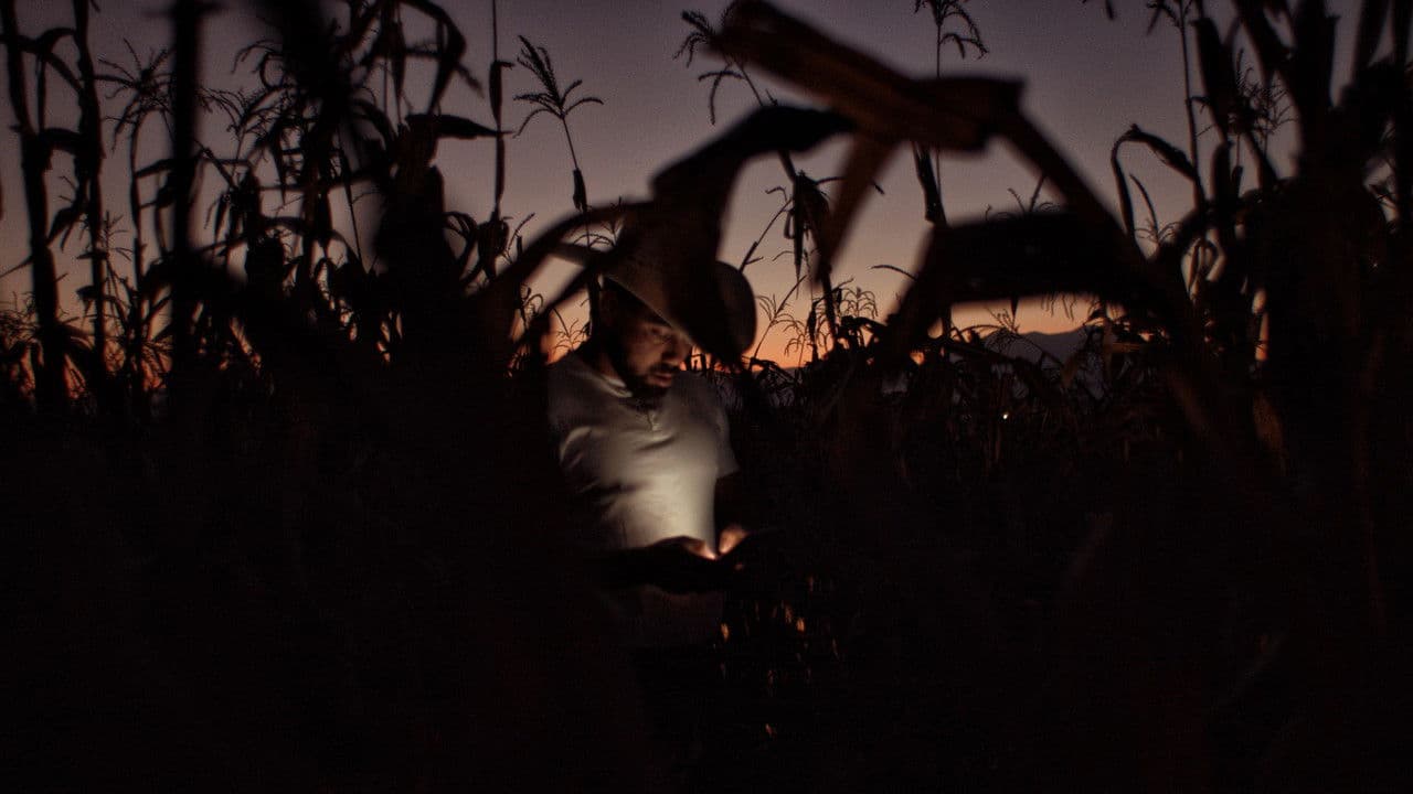 Backdrop – Jaripeo