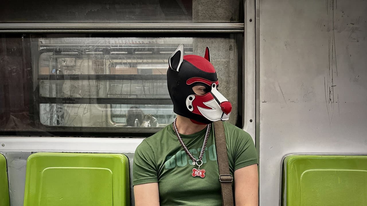 Backdrop – Un Cachorro Llamado Ren