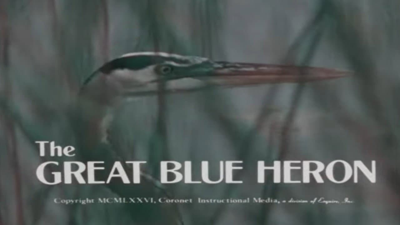 Backdrop – The Great Blue Heron