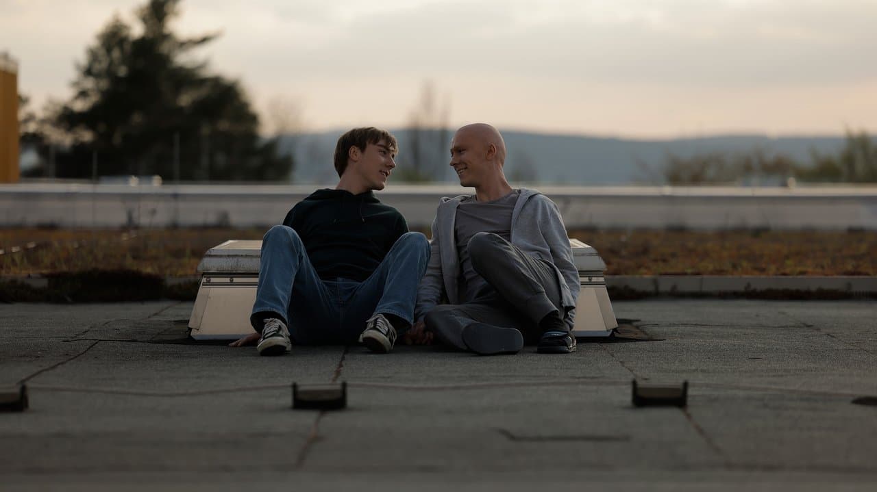 Backdrop – Leben ist jetzt - Die Real Life Guys