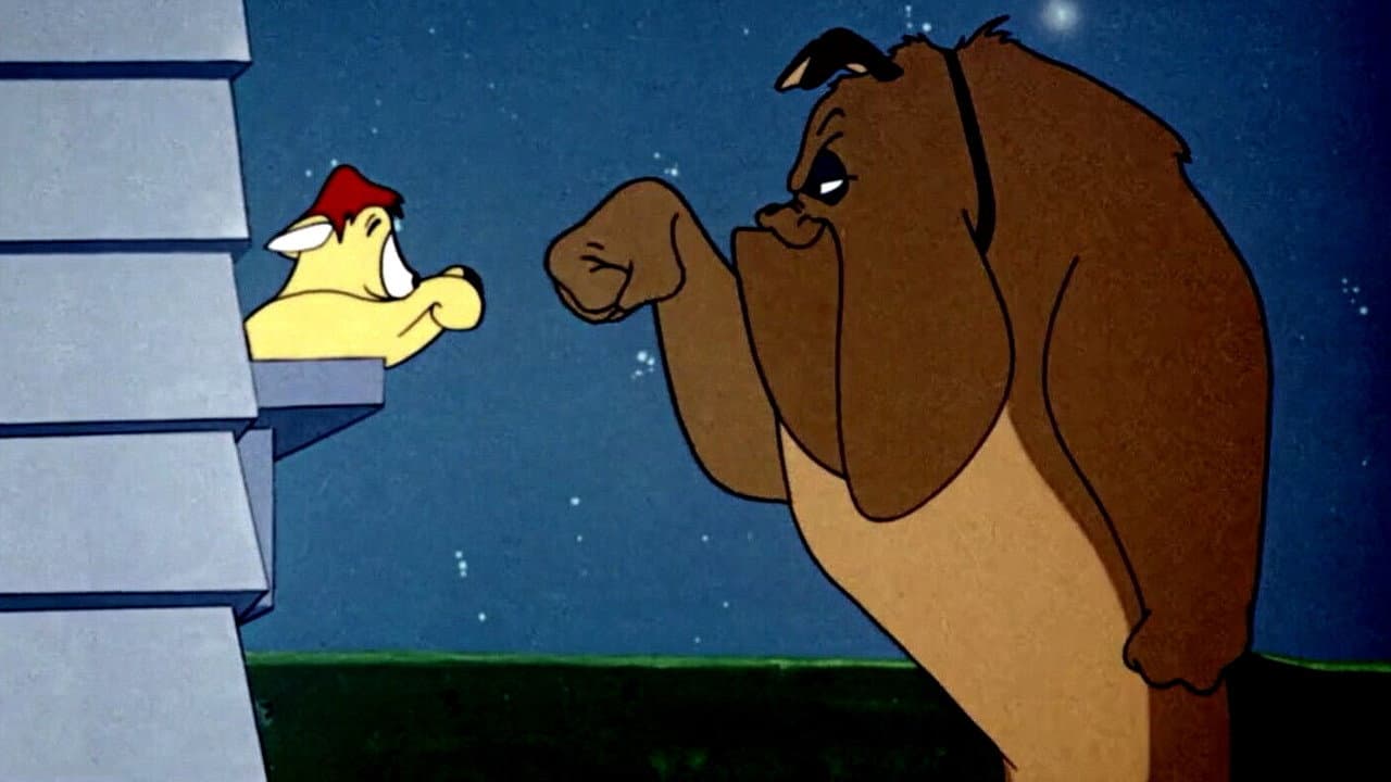 Backdrop – Katzenkomplott