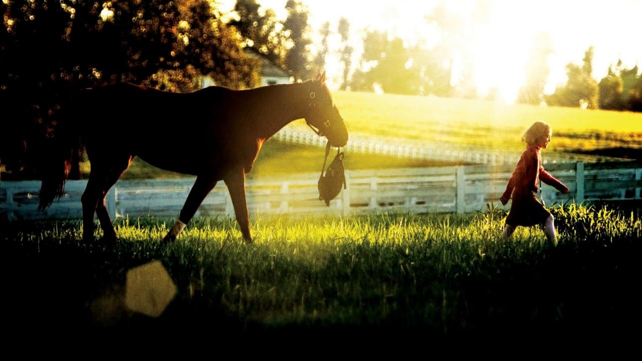 Backdrop – Dreamer - Ein Traum wird wahr