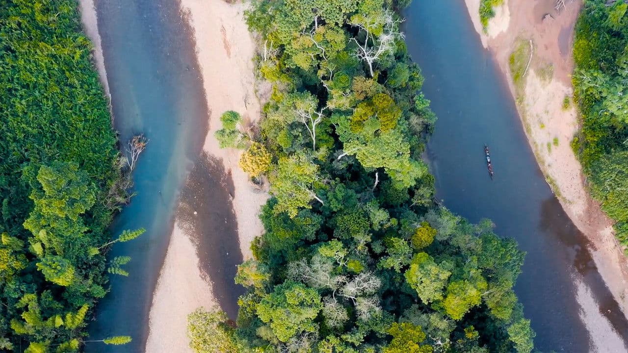 Backdrop – The Return