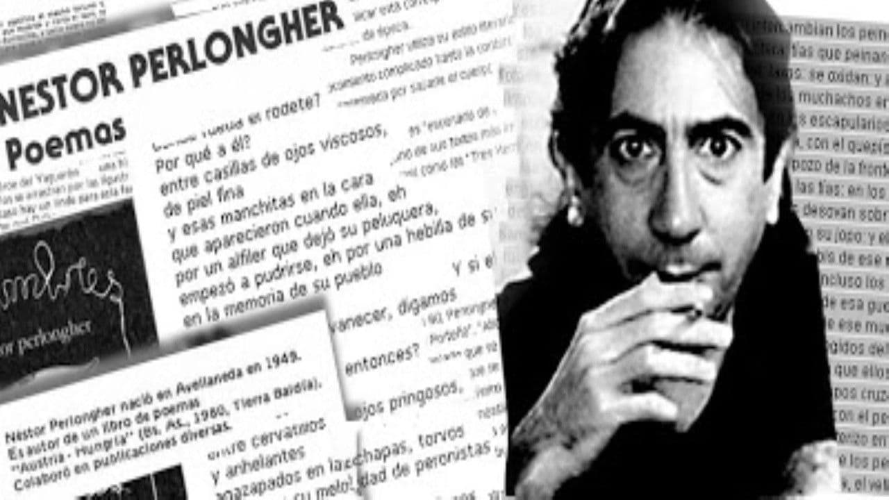 Backdrop – Rosa patria