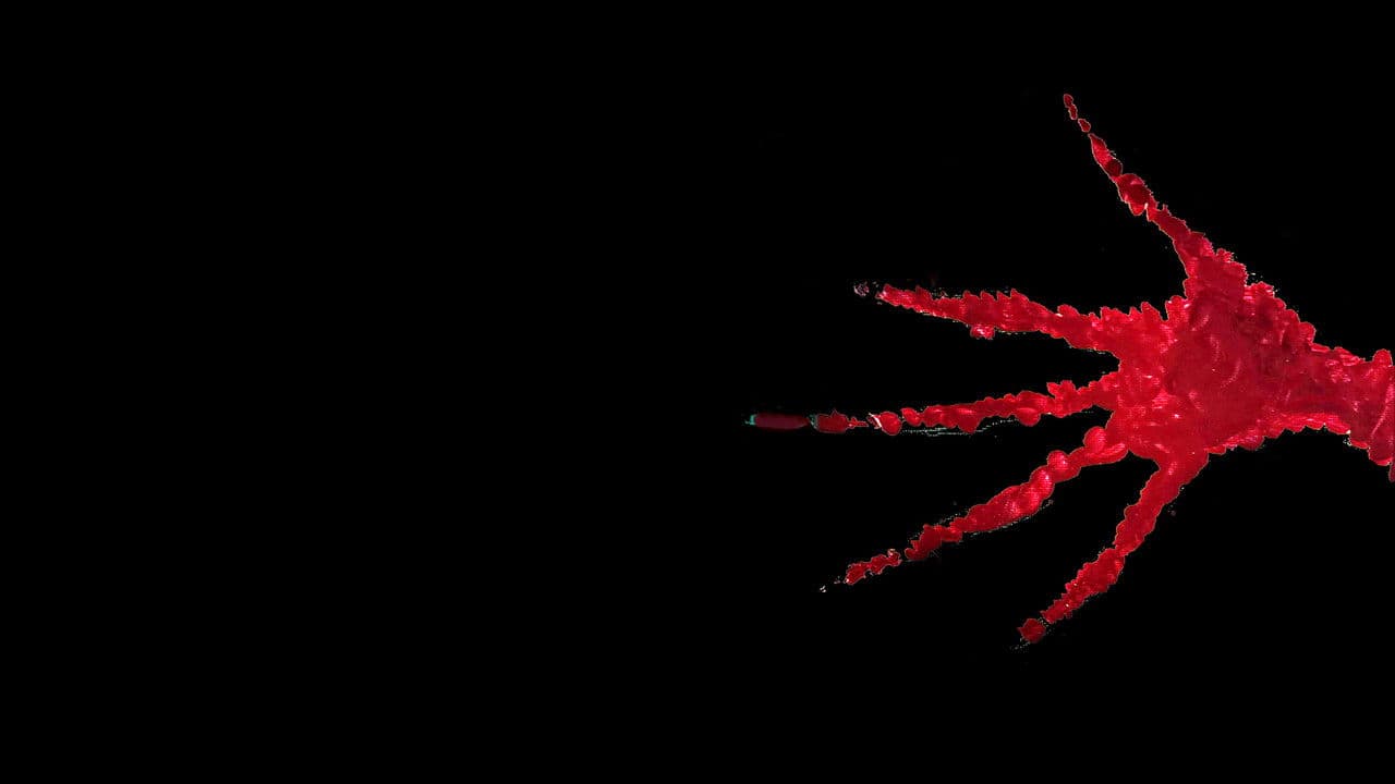 Backdrop – The Visitors