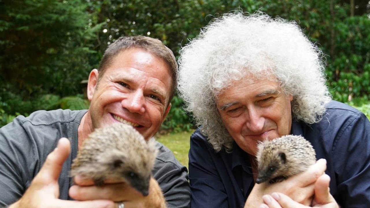 Backdrop – Meet the Hedgehogs