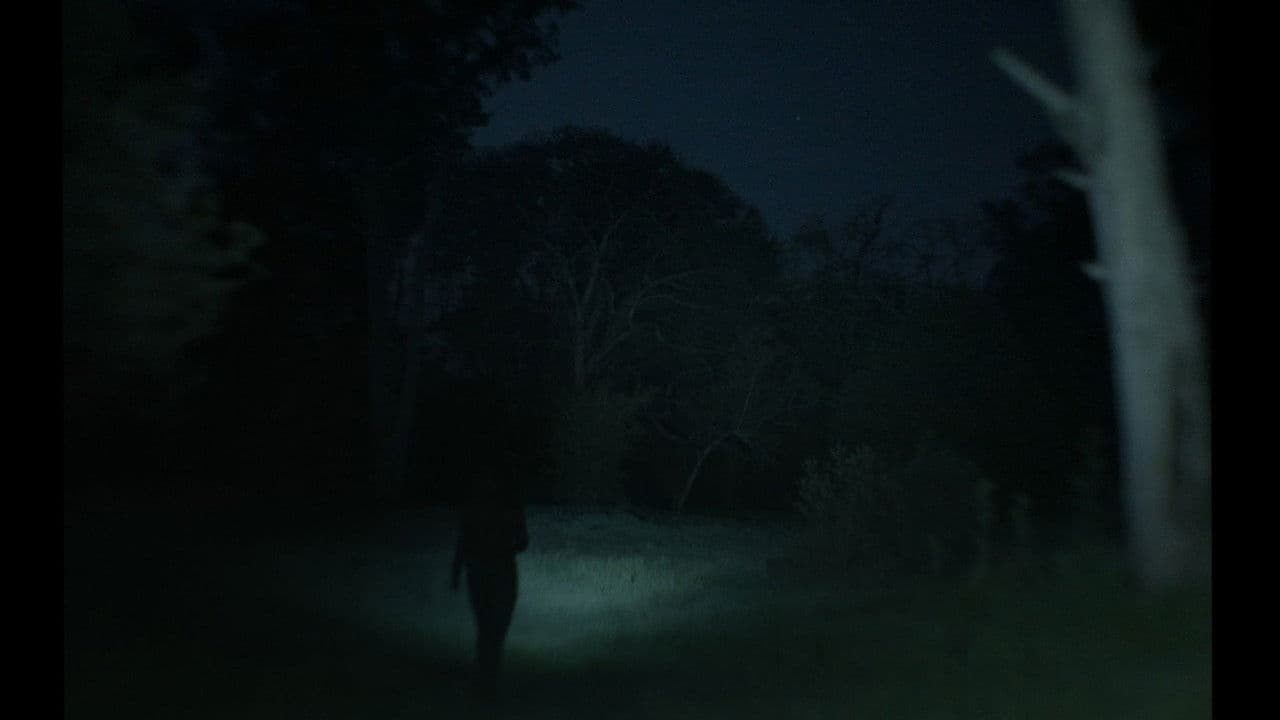 Backdrop – A veces pienso en volver