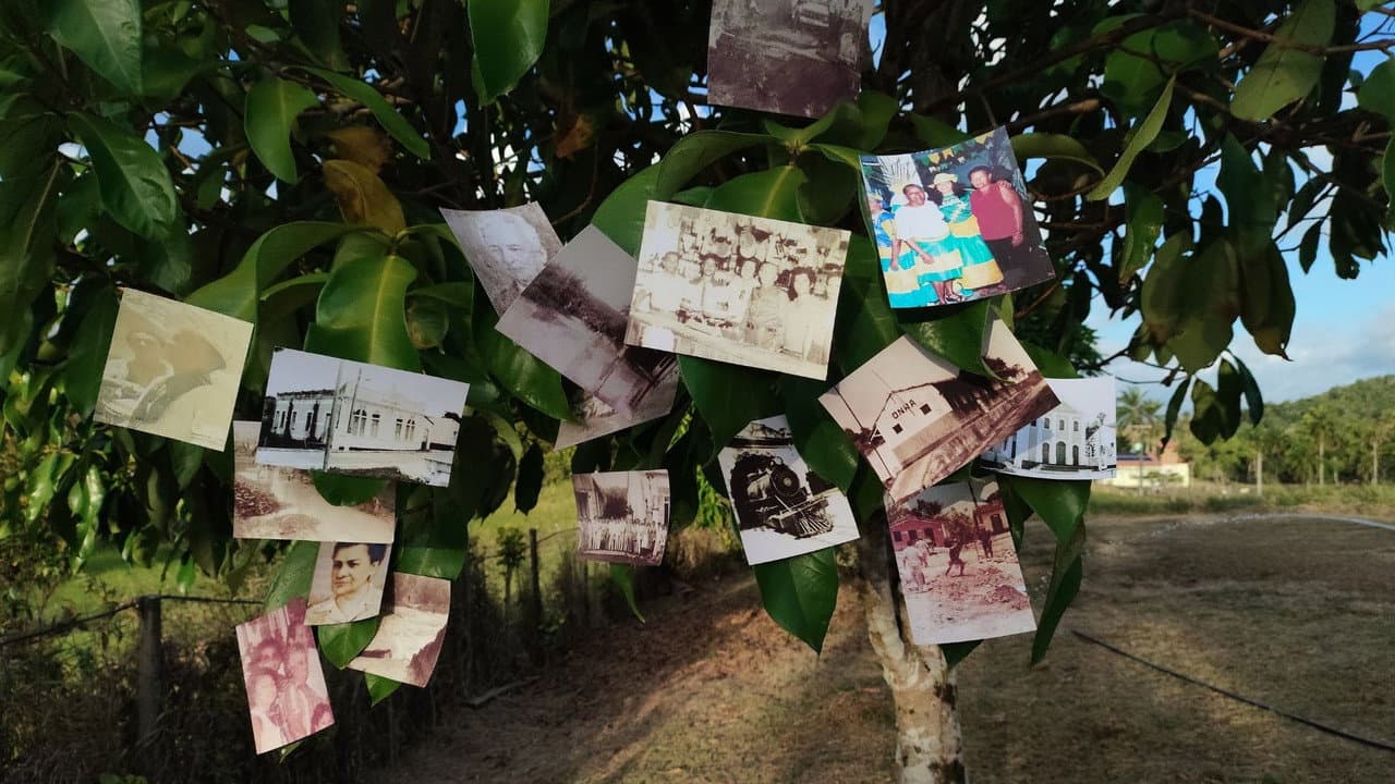 Backdrop – As Mãos Que Ergueram Rio Fundo, Antes De Muniz Ferreira