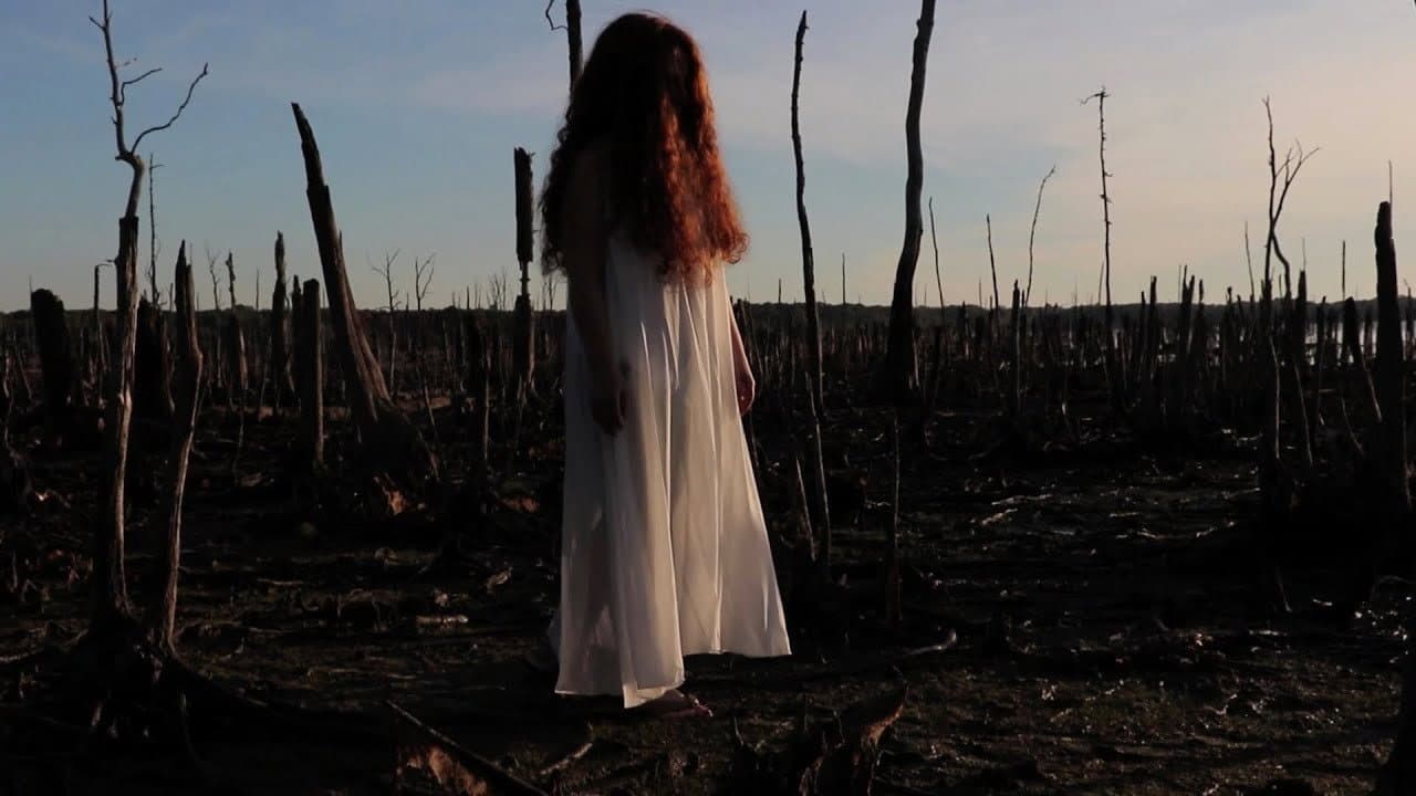 Backdrop – The Girl in the Cornfield