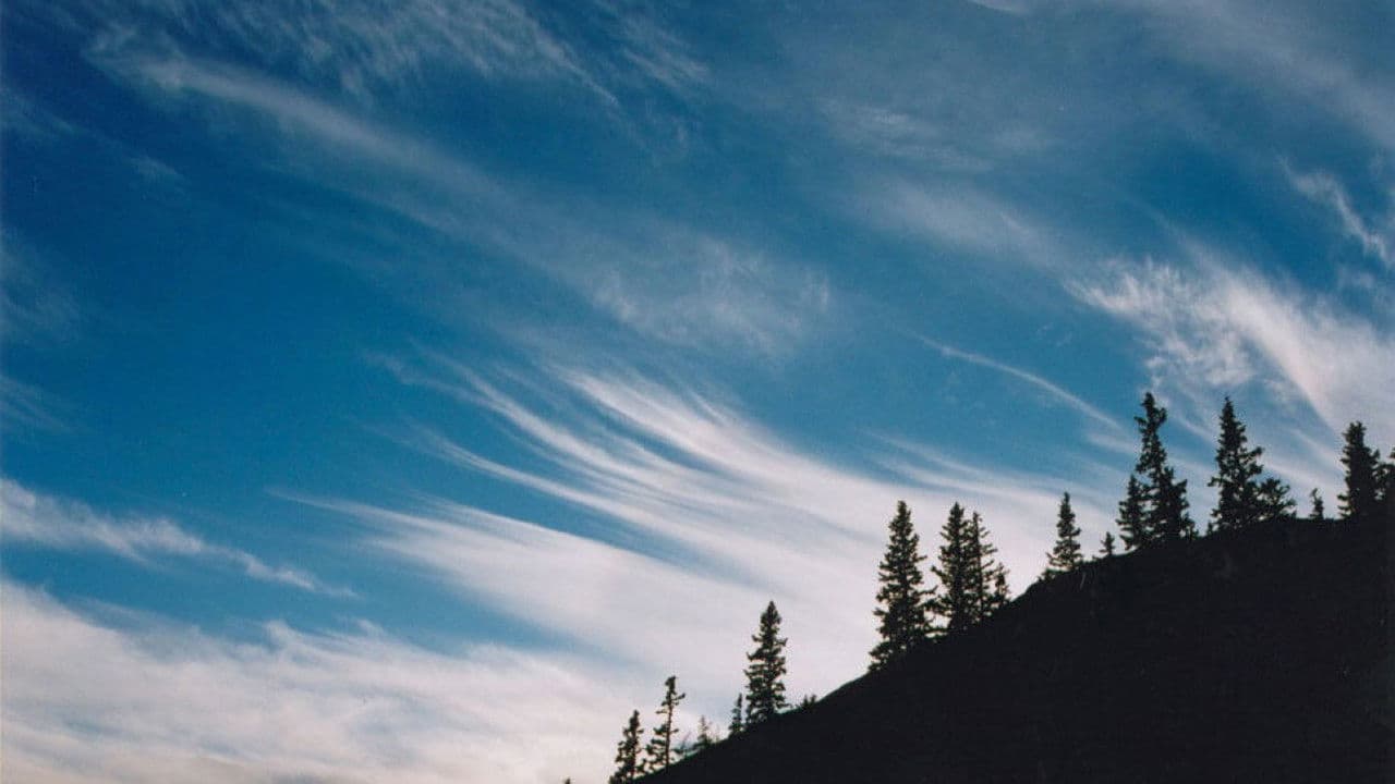 Backdrop – Carpatia - Geschichten aus der Mitte Europas