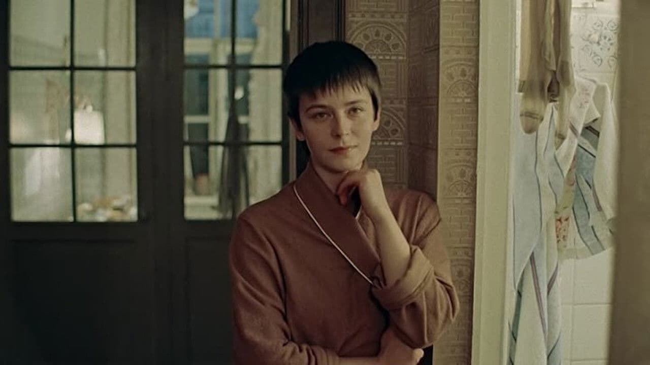 Backdrop – Зимняя вишня