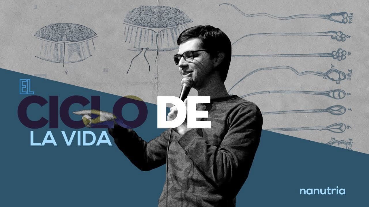 Backdrop – Nanutria: El ciclo de la vida