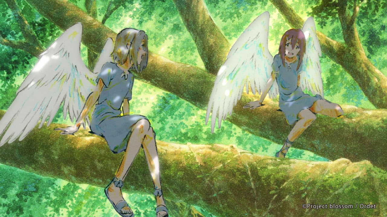 Backdrop – Blossom