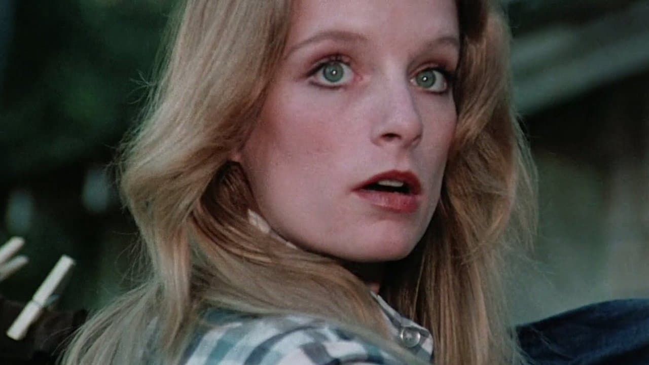 Backdrop – Moonshine County Express