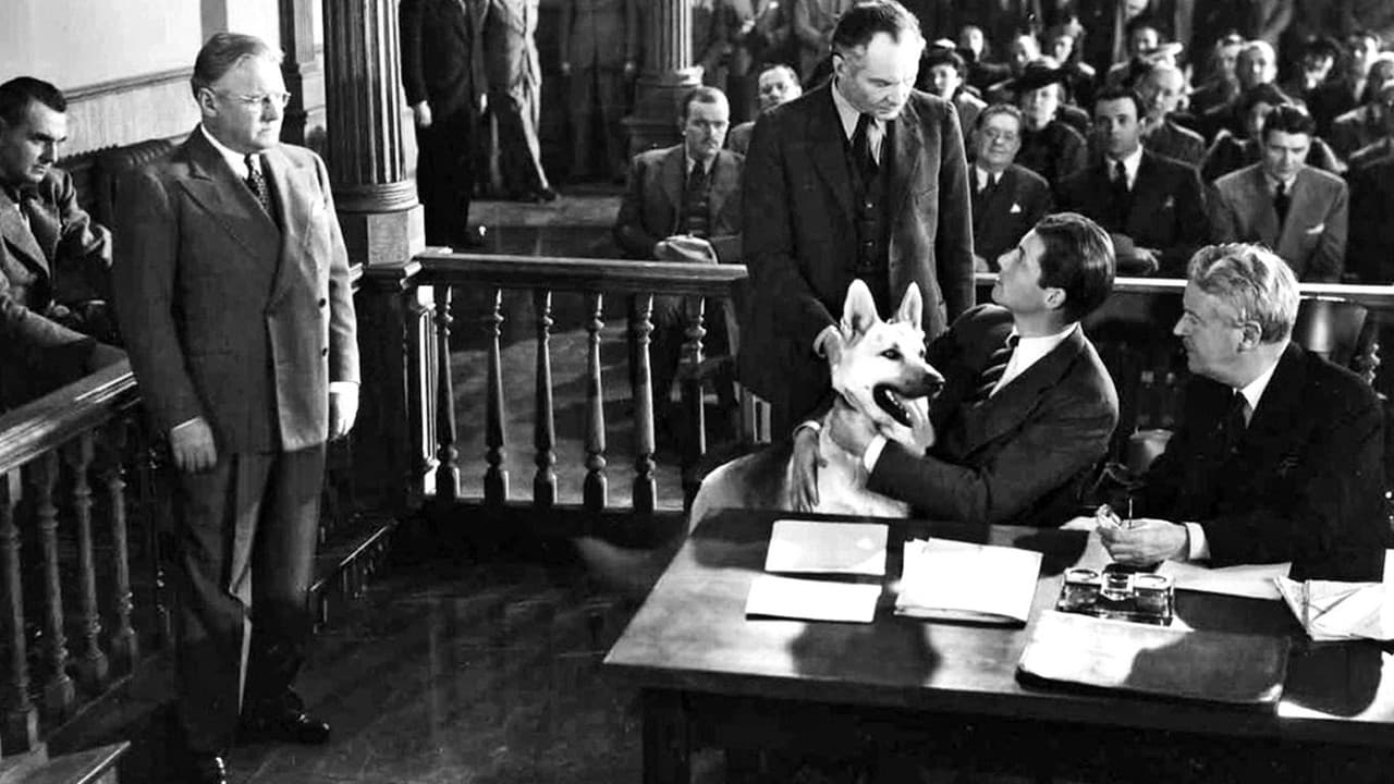 Backdrop – Almost a Gentleman