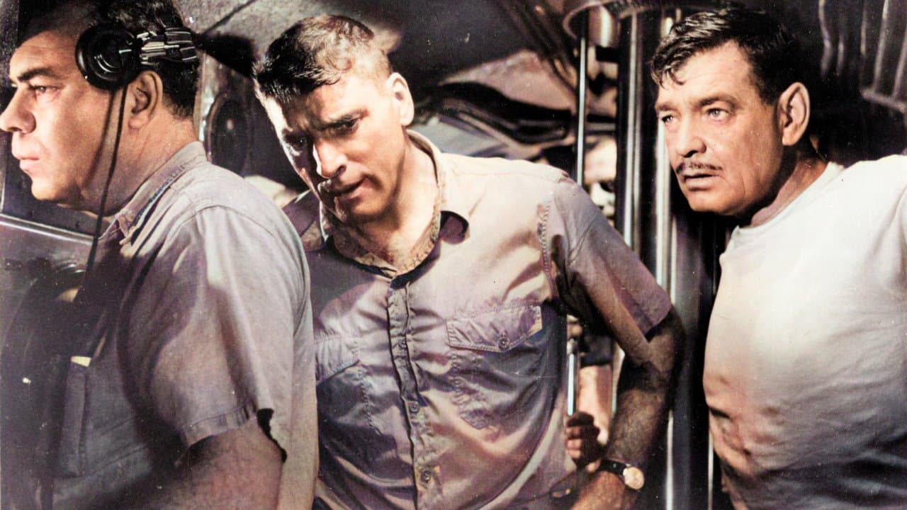 Backdrop – U 23 - Haie im Pazifik