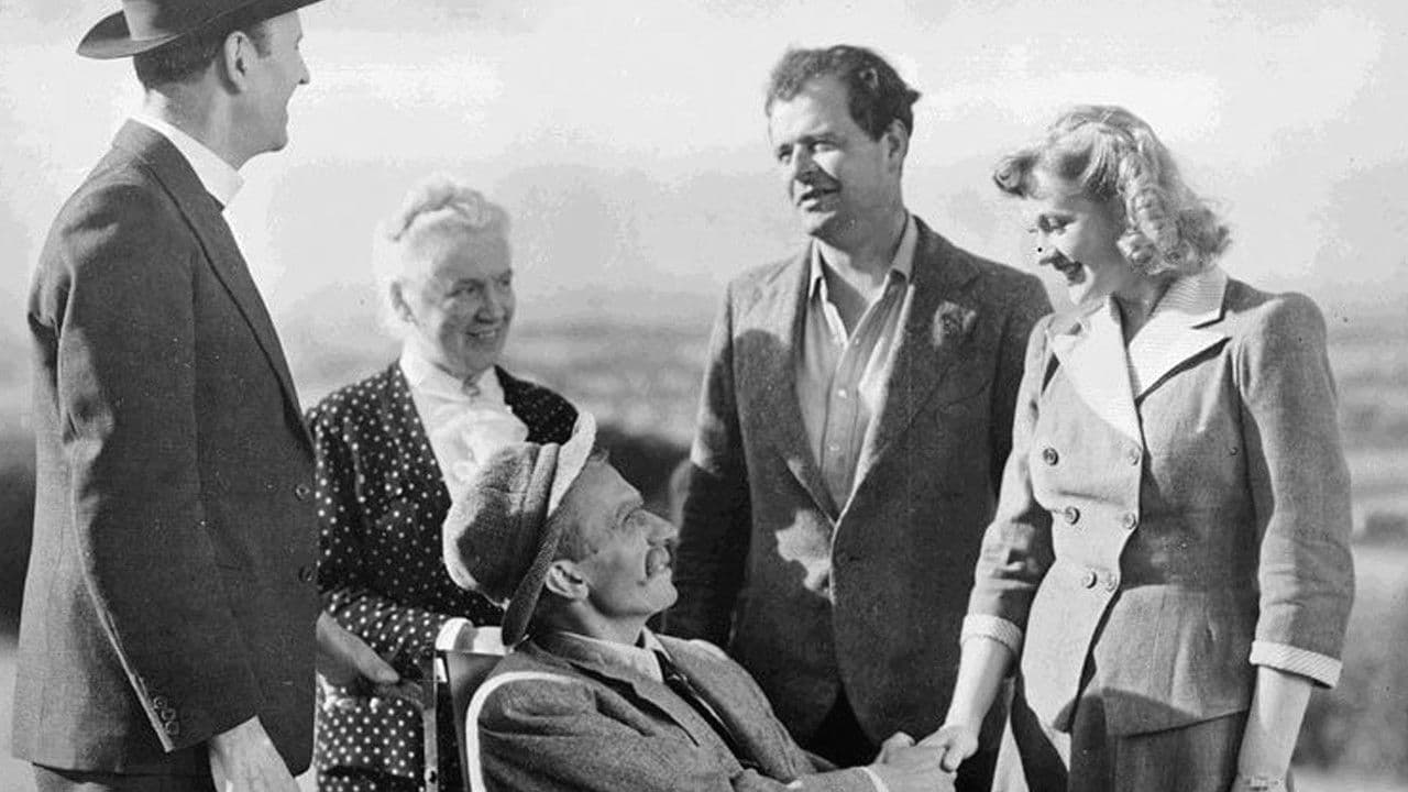 Backdrop – Tawny Pipit