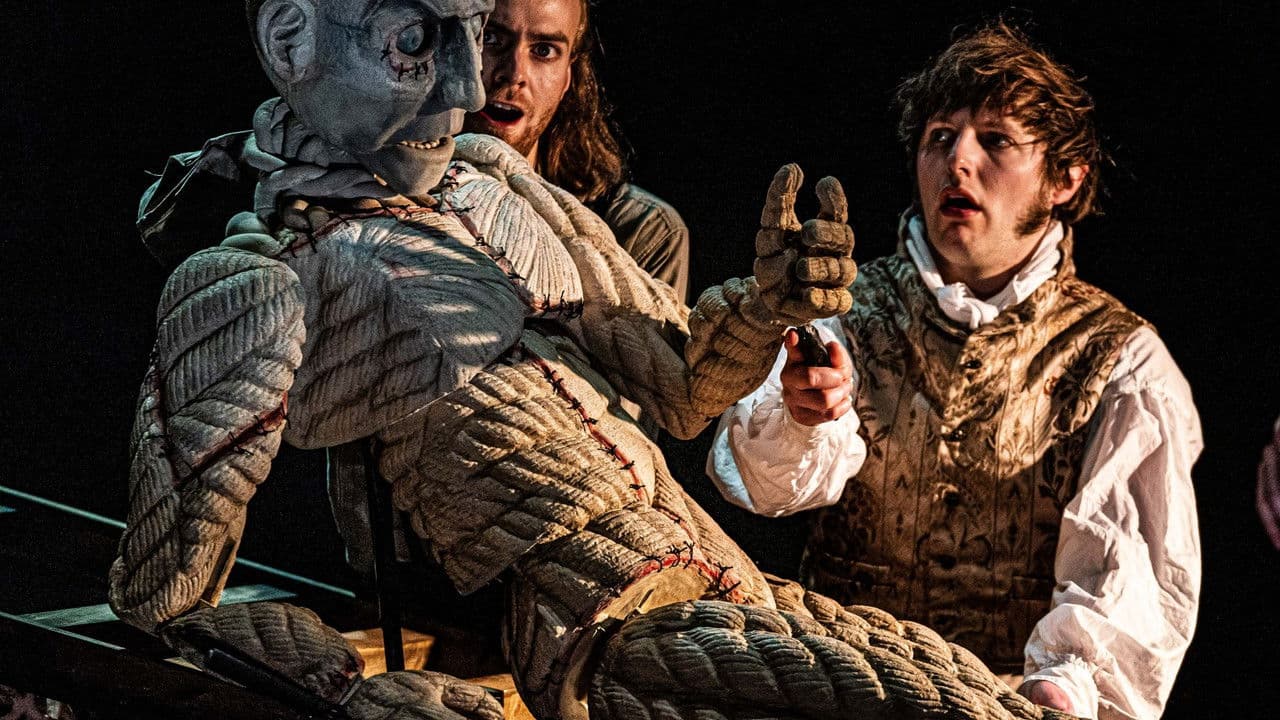 Backdrop – Frankenstein