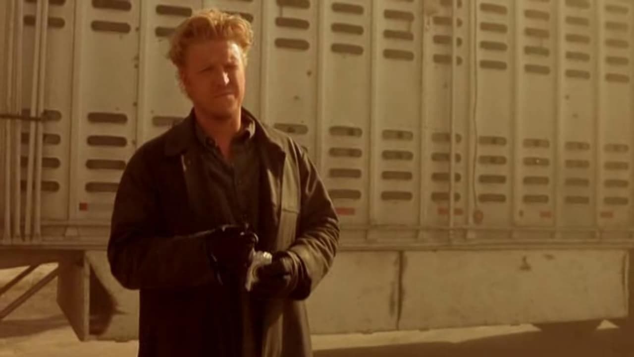 Backdrop – Hitcher Returns