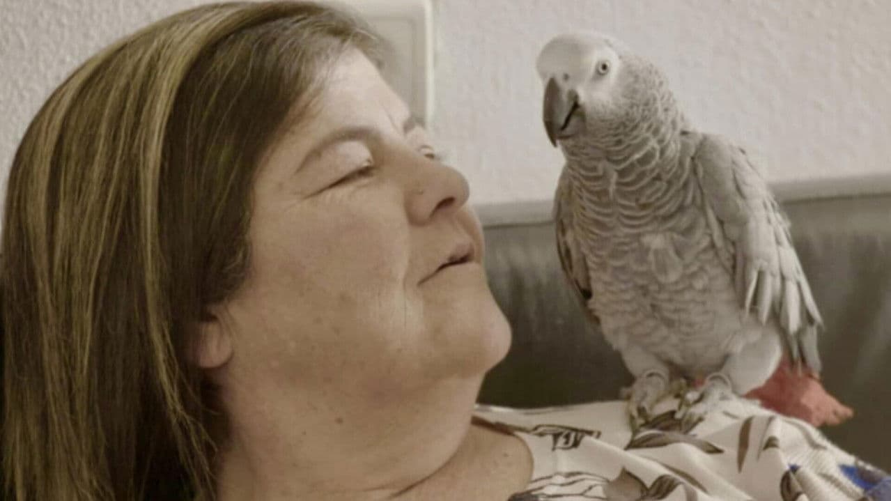 Backdrop – 7 מונולוגים על זנות