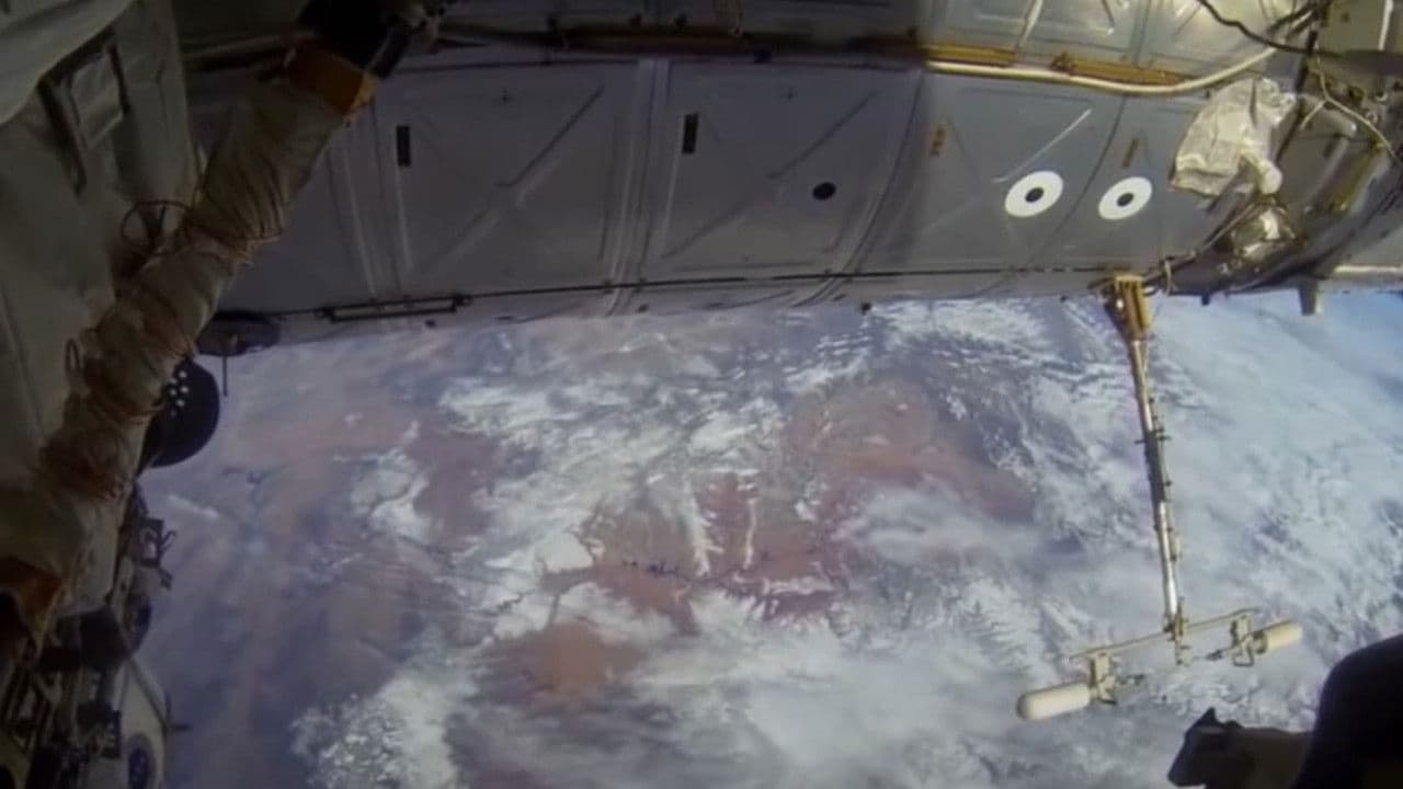 Backdrop – Horbitat