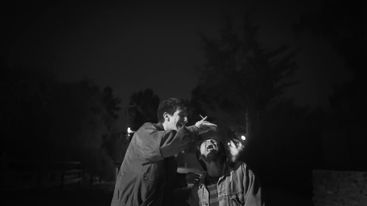 Backdrop – Del Caminar en el Cine