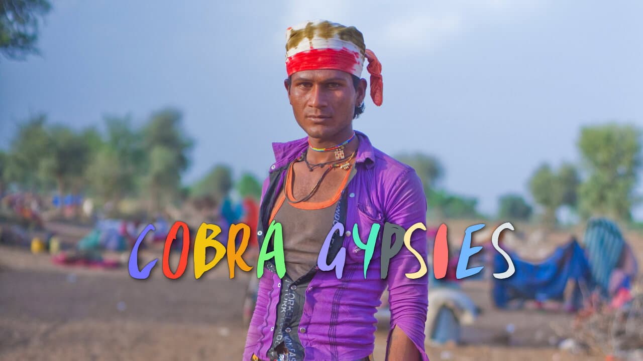 Backdrop – Cobra Gypsies
