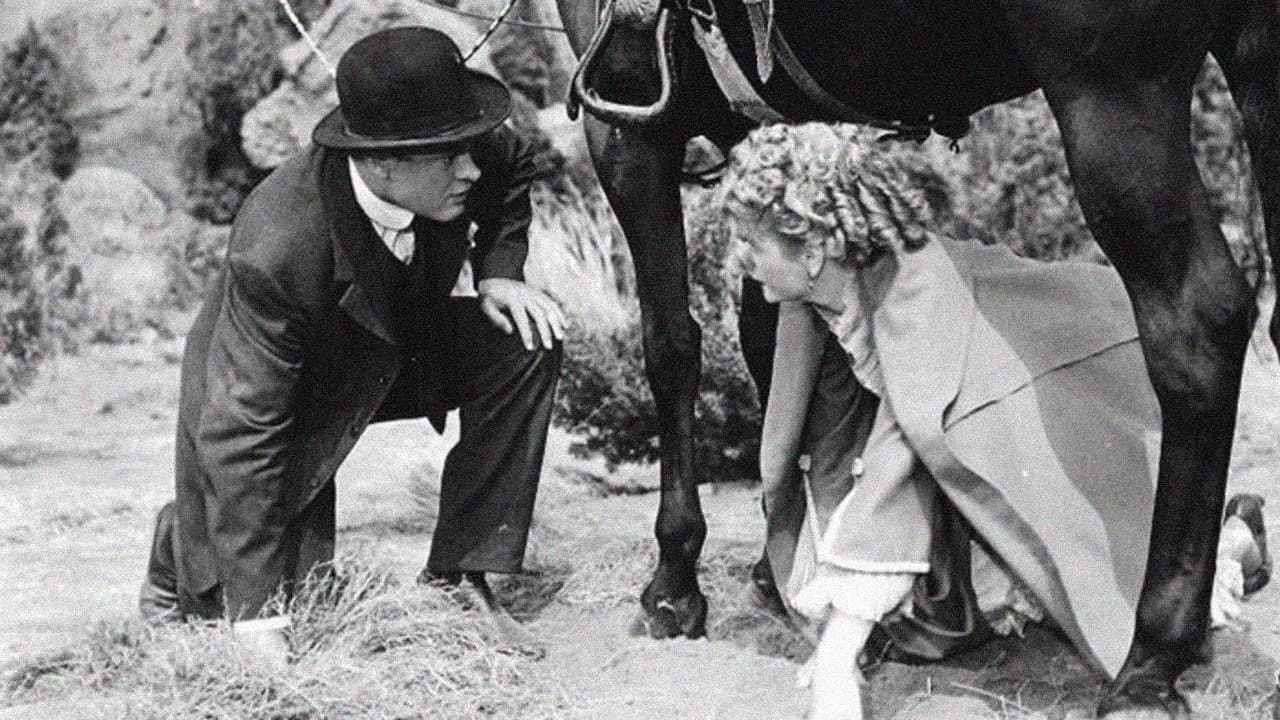 Backdrop – Fancy Pants