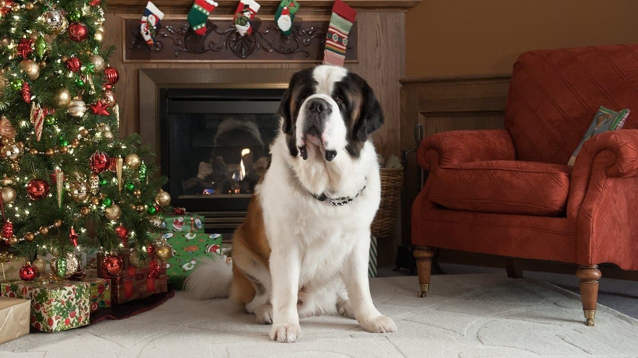 Backdrop – Beethovens abenteuerliche Weihnachten