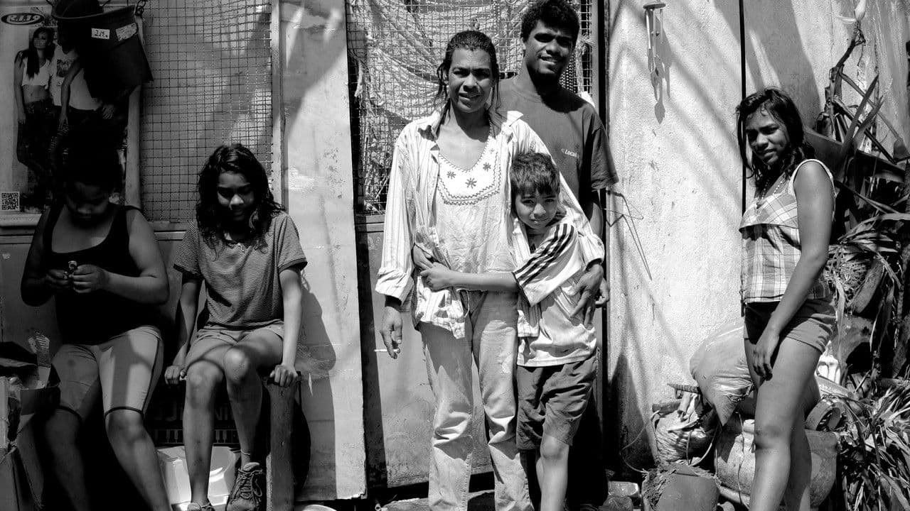 Backdrop – Carroça21