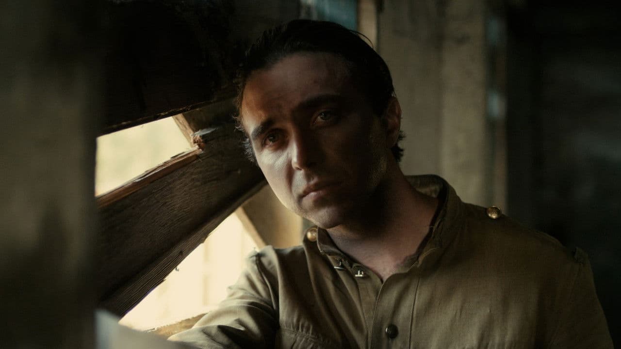 Backdrop – Decimation