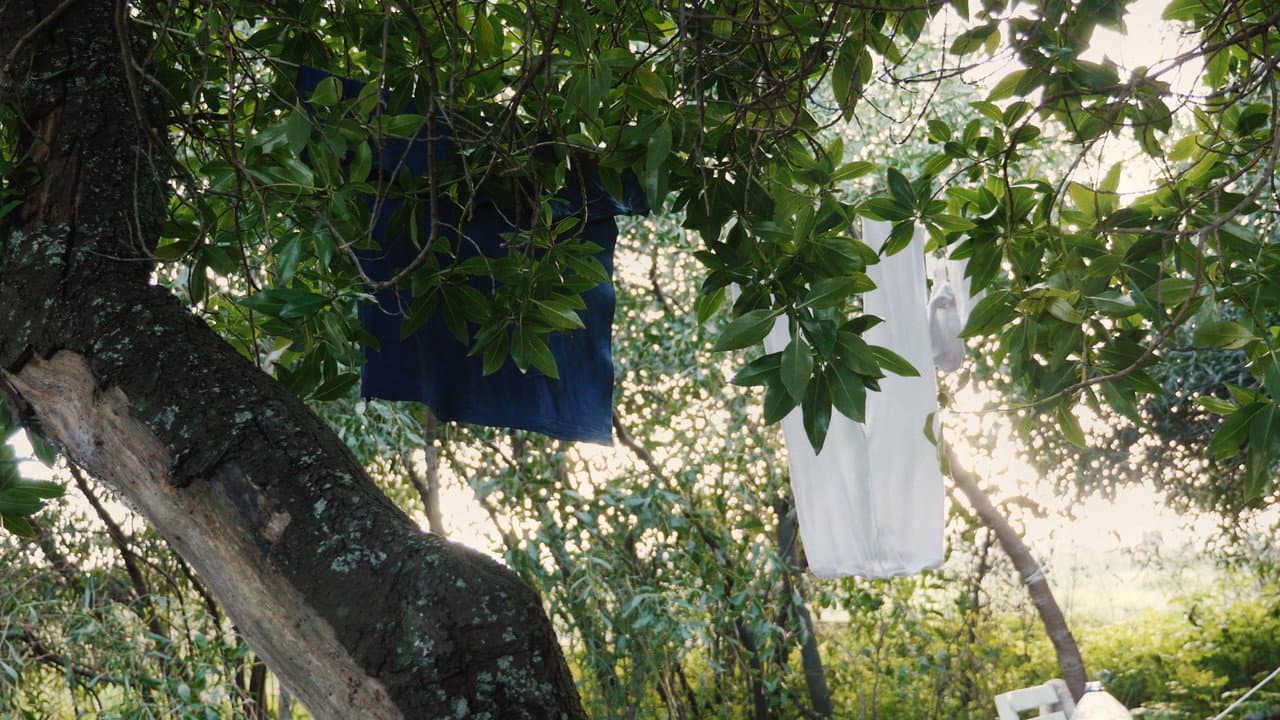 Backdrop – Almas Deslocadas