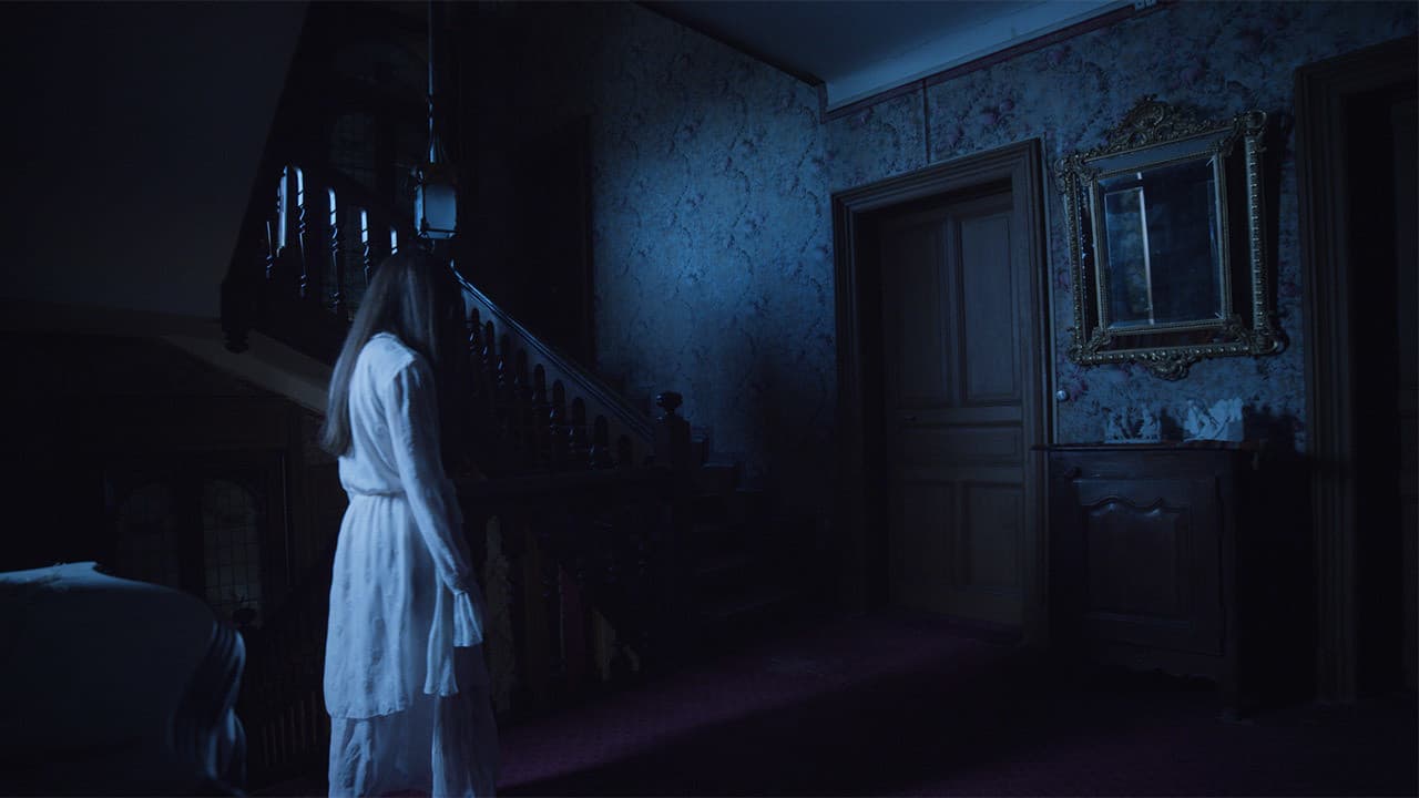 Backdrop – The Follower