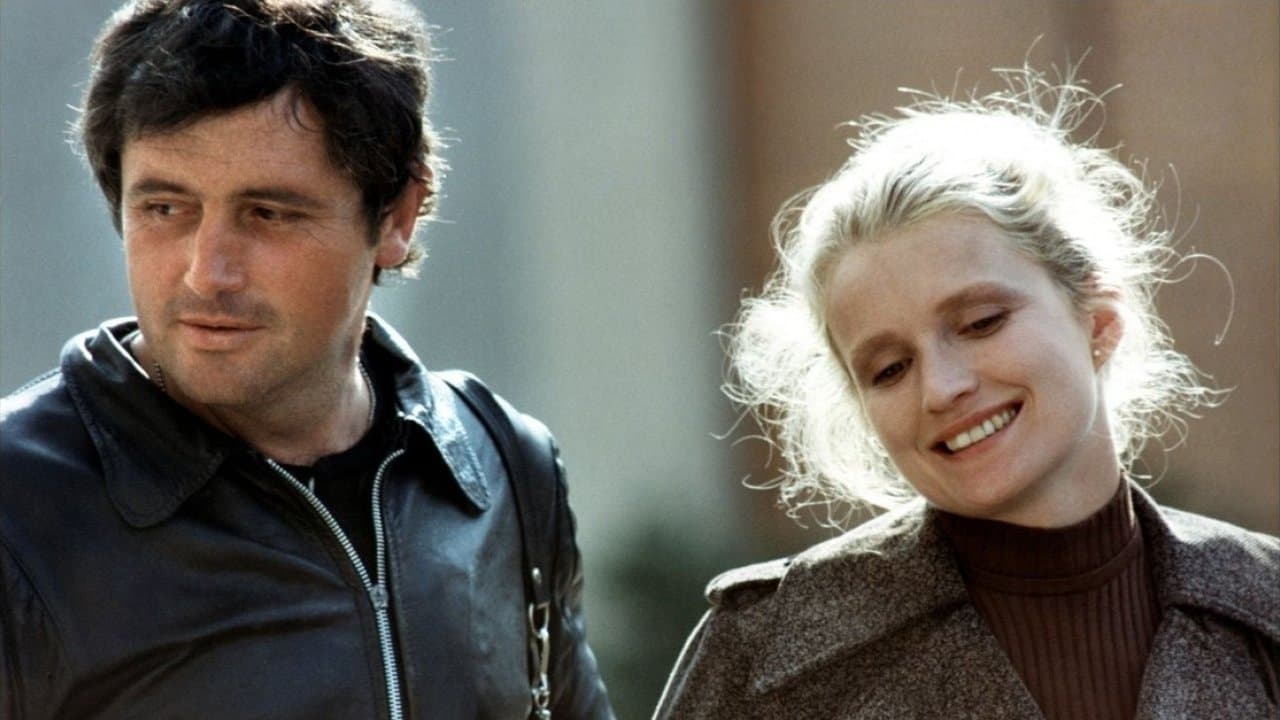 Backdrop – Cousin, Cousine