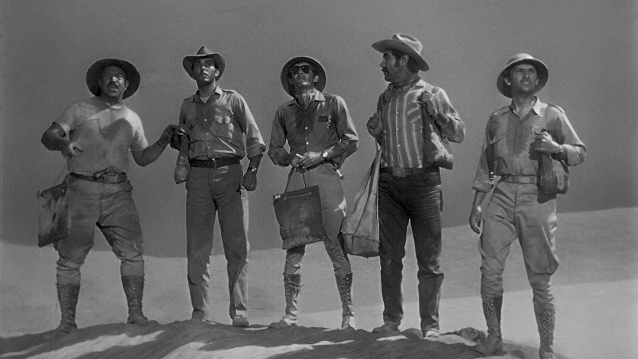 Backdrop – Viento negro