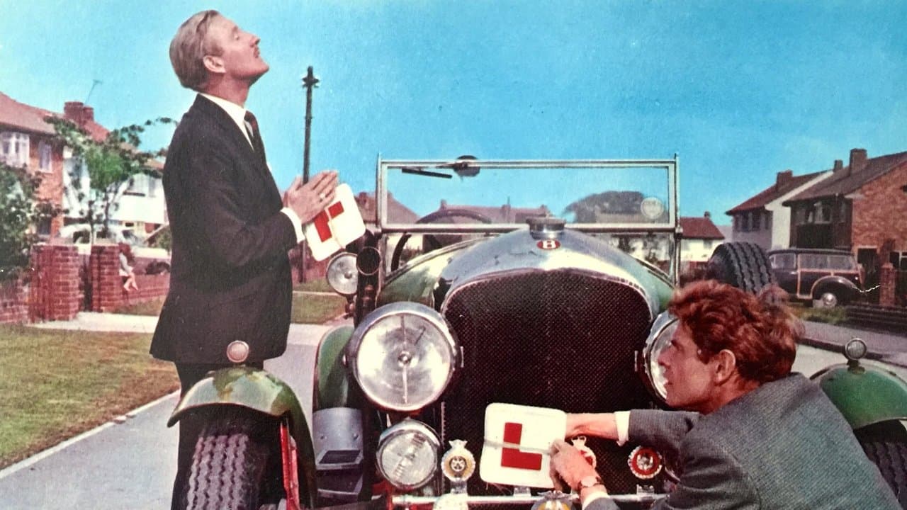 Backdrop – O Darling - was für ein Verkehr