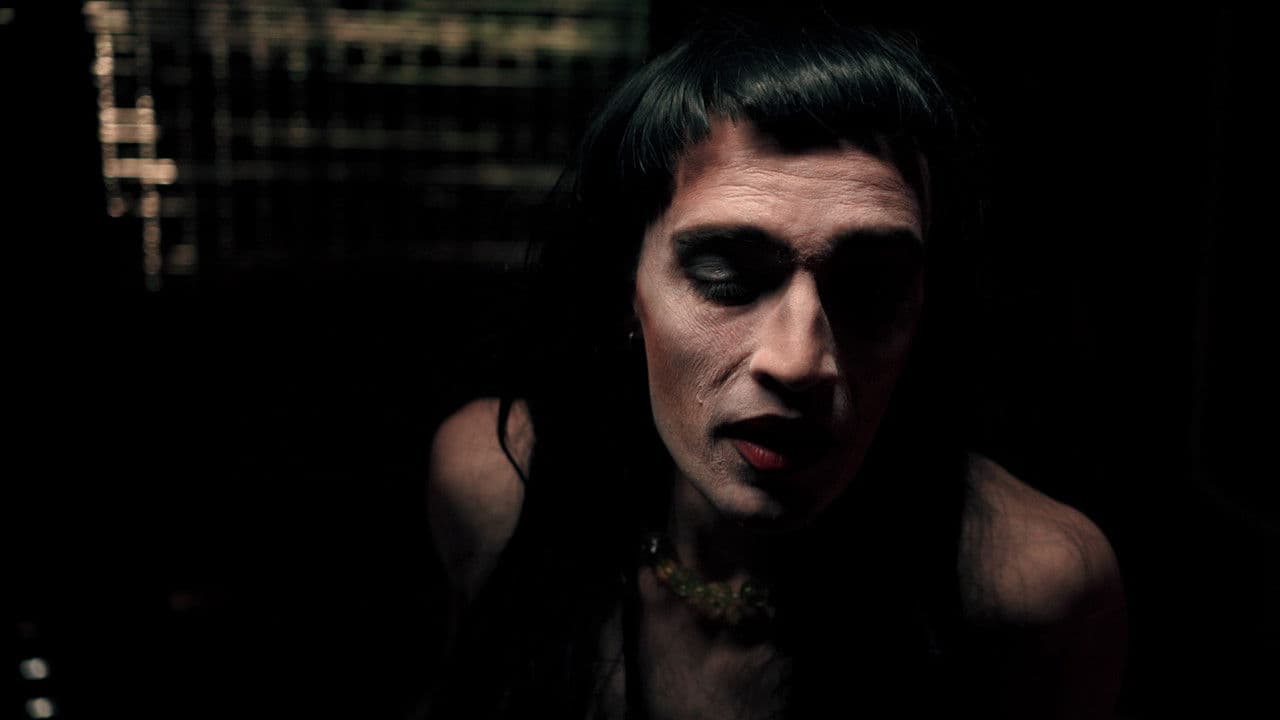 Backdrop – Miss Tétano