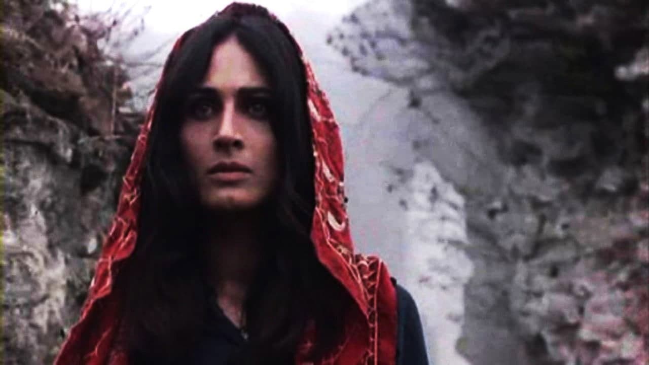 Backdrop – چریکه‌ی تارا