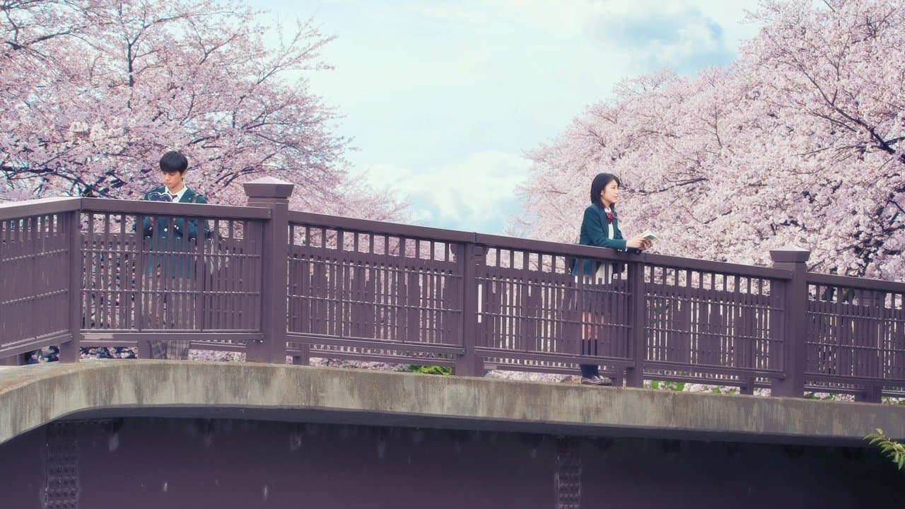 Backdrop – Let Me Eat Your Pancreas