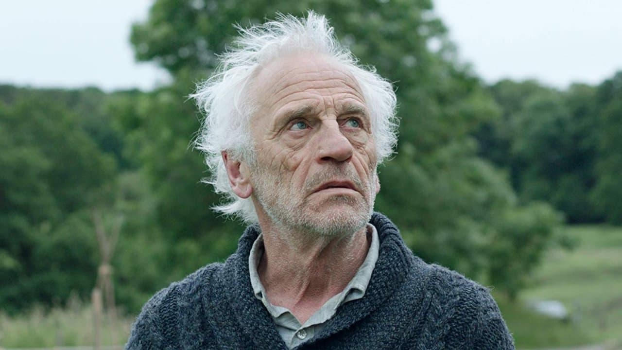 Backdrop – Resurrection