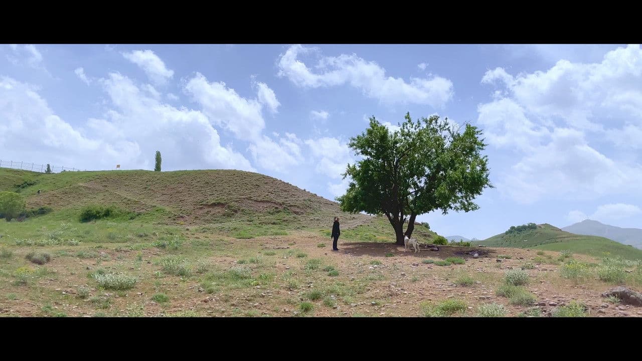 Backdrop – Instinct